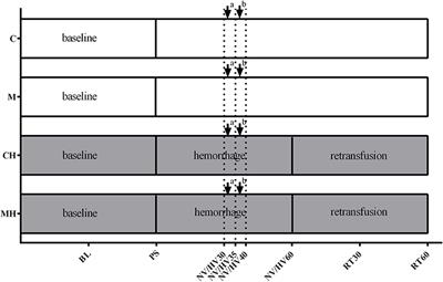 Topical Melatonin Improves Gastric Microcirculatory Oxygenation During Hemorrhagic Shock in Dogs but Does Not Alter Barrier Integrity of Caco-2 Monolayers